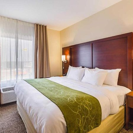 Piedmont Comfort Suites Greenville South מראה חיצוני תמונה